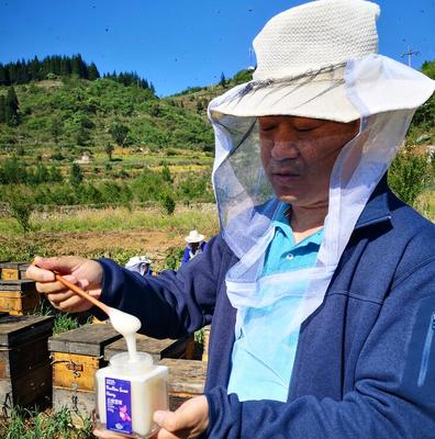 真蜂蜜纯天然田野牧蜂(田野牧蜂藏蜜)