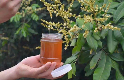 蜂蜜后味发酸是真蜂蜜吗(蜂蜜回味有点酸)