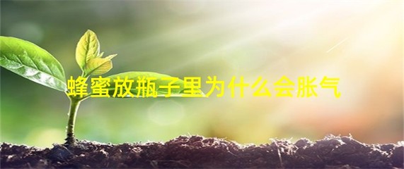 真蜂蜜胀气是什么原因(蜂蜜发胀)