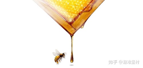 怎么判断蜂蜜是真蜂蜜(如何判断蜂蜜是真蜂蜜还是假蜂蜜)