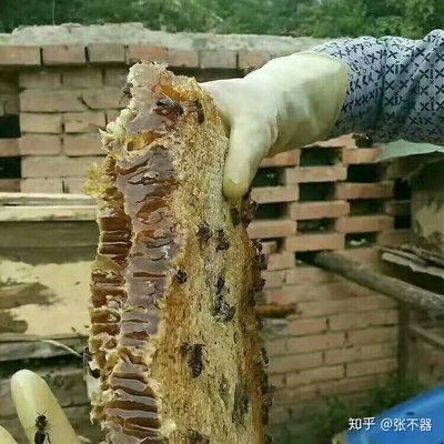 以后还能不能买到真蜂蜜(现在的蜂蜜都是假的吗)