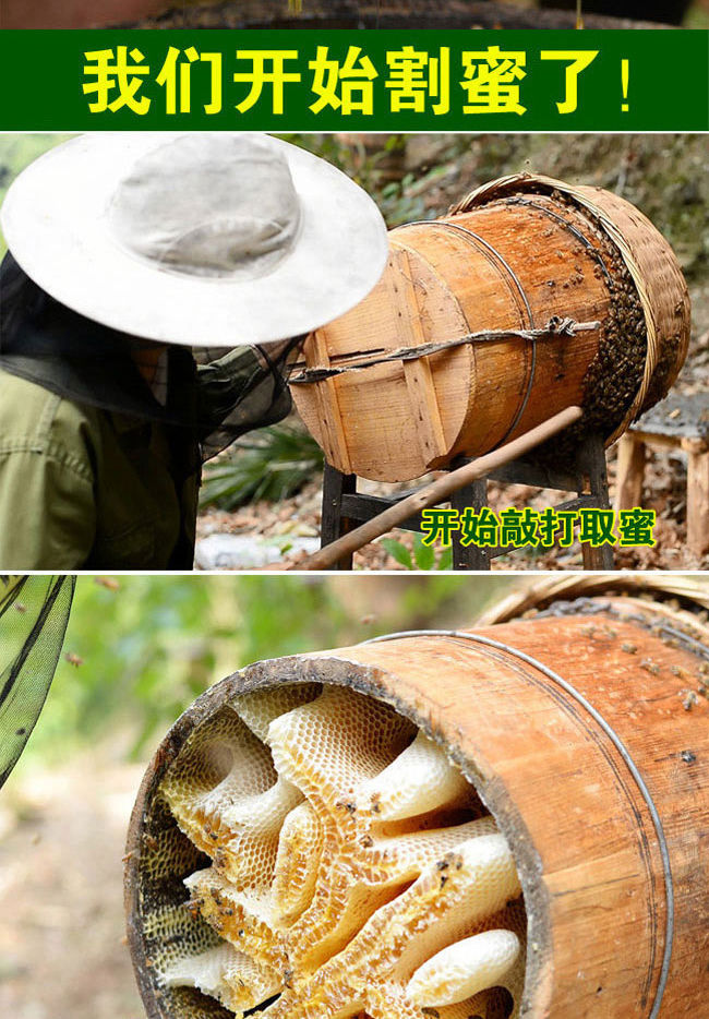 木桶土蜂蜜的功效和作用,木桶蜜的功效与作用及禁忌症