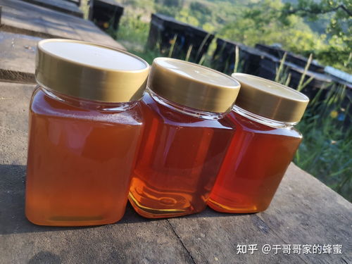 购买蜂蜜能吃吗有毒吗知乎(网购蜂蜜)