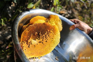 值得购买的蜂蜜品种图片(性价比高的蜂蜜推荐)