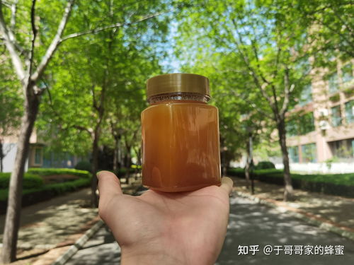 真蜂蜜放了几年可以吃吗(真蜂蜜存放时间长的状态)