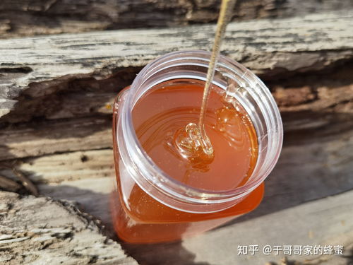 假蜂蜜与真蜂蜜的成分(假蜂蜜的成分是什么)