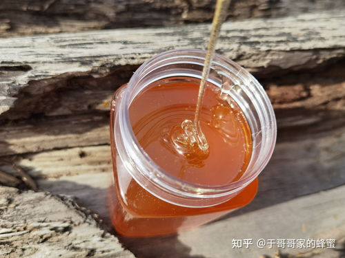 蜂蜜真和假怎么分辨(蜂蜜真假怎么分辨图解)