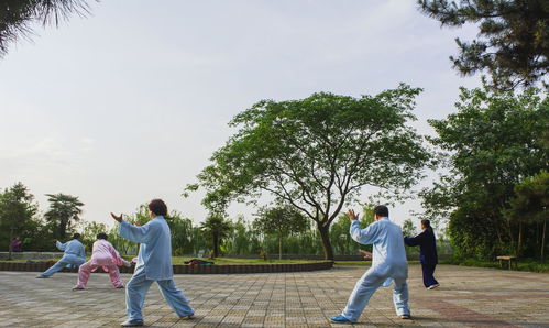 青岛嘟真蜂蜜公司地址(青岛嘟嘟烧烤)