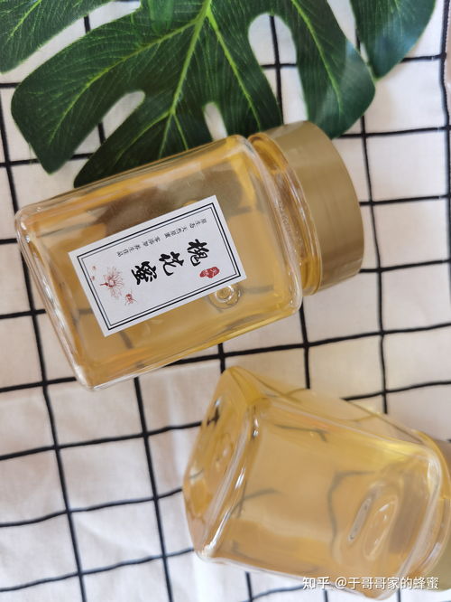 怎样用纸鉴定真蜂蜜(用纸巾辨别蜂蜜真假方法视频)