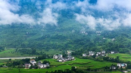 道真县土蜂蜜(道真县土蜂蜜产地)