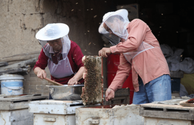 真蜂蜜是不是甜里带酸(真蜂蜜带酸味吗)