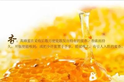 为什真蜂蜜质地稀薄(为什么蜂蜜有的纯有的不纯)