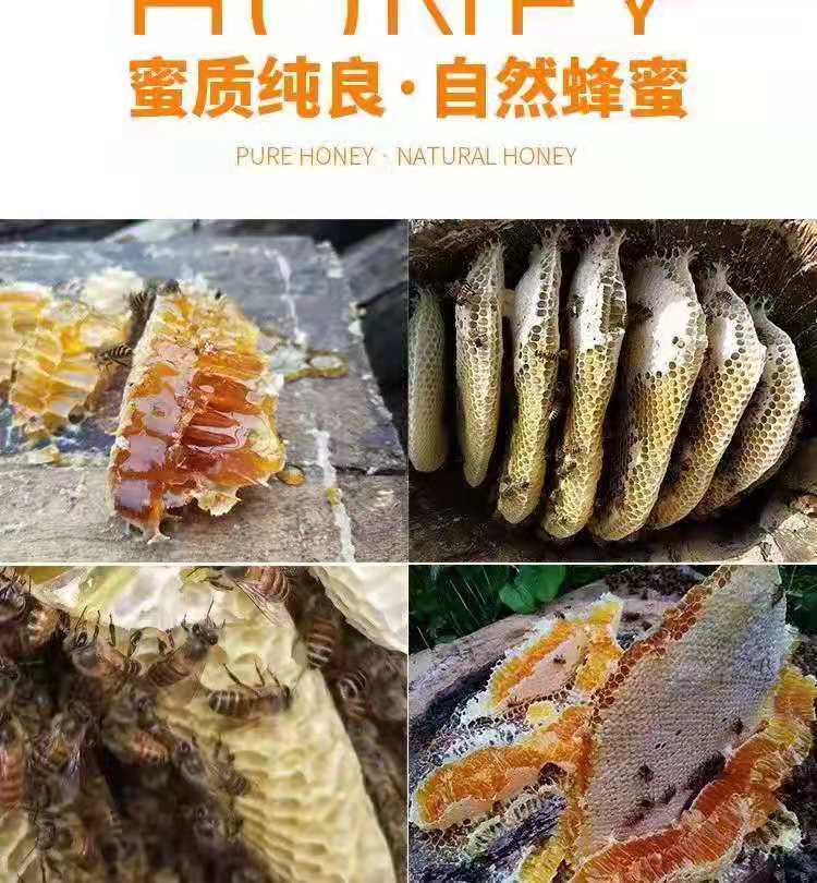 真蜂蜜正宗(真正正宗蜂蜜是什么样的)