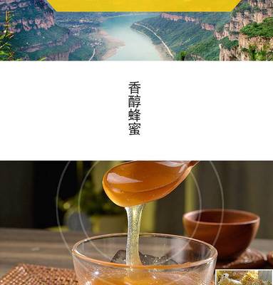 石家庄哪里买真蜂蜜好(石家庄哪里卖蜜袋鼯)