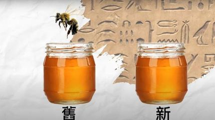 怎样识别出真蜂蜜(怎样识别真蜂蜜用酒鉴别)