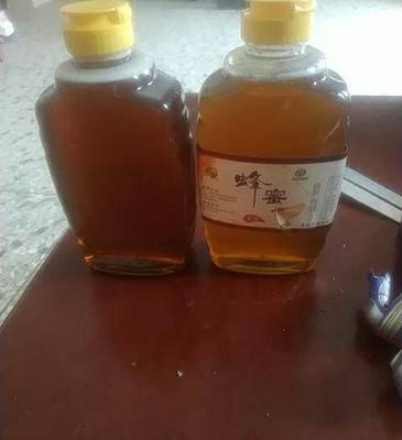 嘟真荔枝蜂蜜怎么样(嘟真1号蜂蜜为何这么贵)