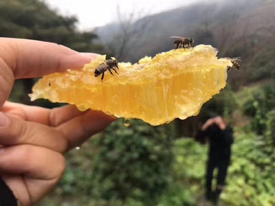 28块钱的土蜂蜜是真蜂蜜吗(二十几块钱的蜂蜜能喝吗)