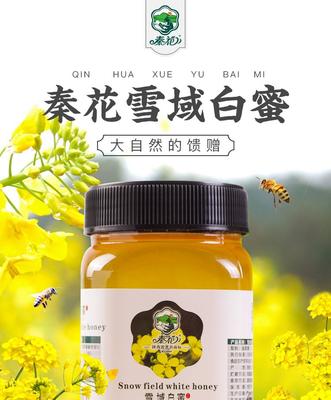 油菜花蜂蜜是真蜂蜜吗图片(油菜花蜂蜜营养价值高吗)