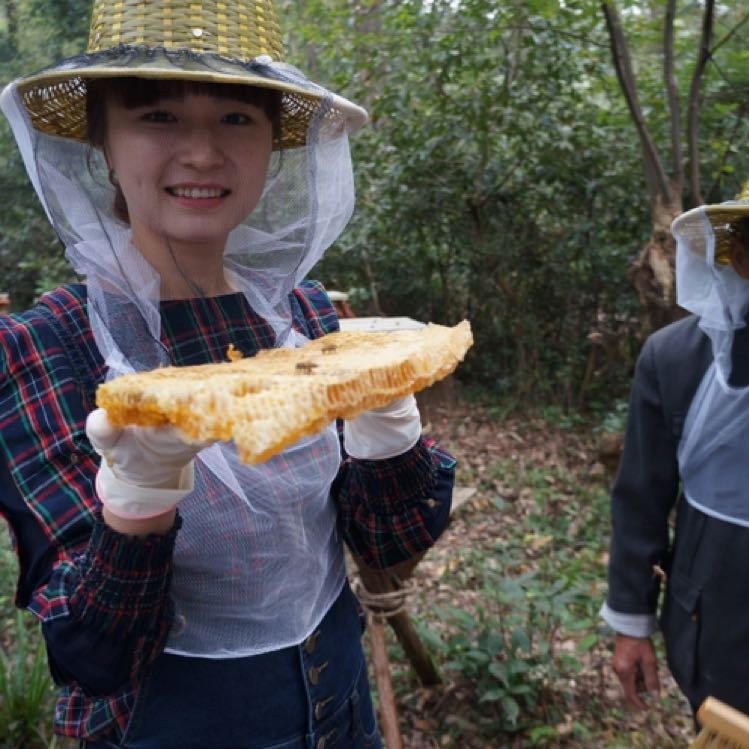 养蜂场能买真蜂蜜吗(蜂场蜂蜜能直接销售吗)