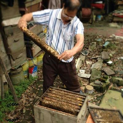 广州周边真蜂蜜(广州蜂蜜交易市场)