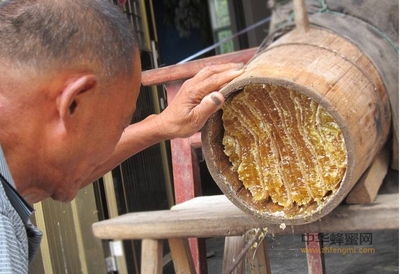 真蜂蜜冲水不甜(为什么蜂蜜冲水不甜)