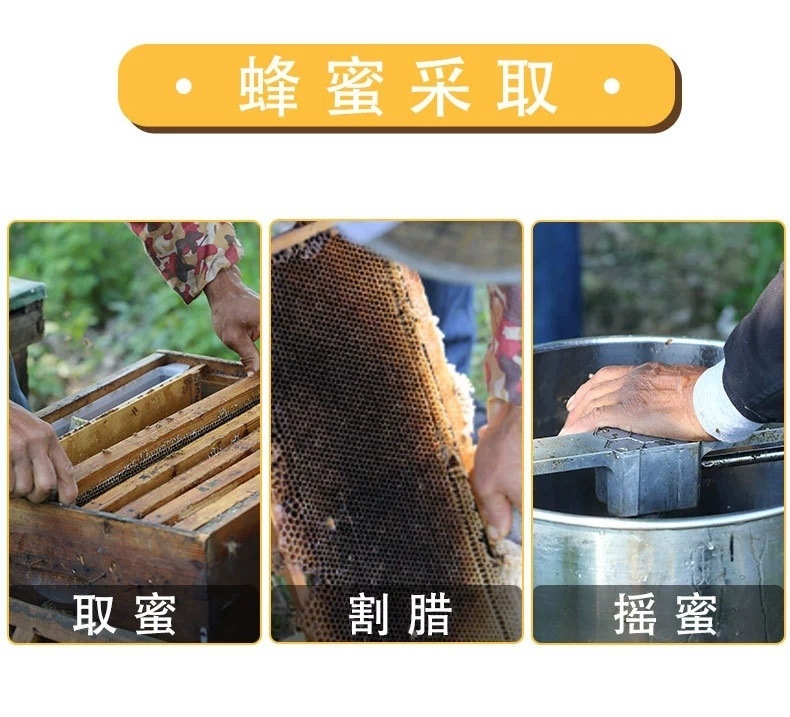 怎么能买到真蜂蜜土蜂蜜(在哪里能买到真正的土蜂蜜)