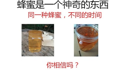 蜂蜜真与假怎样辨别的图片(蜂蜜真与假怎样辨别的图片大全)