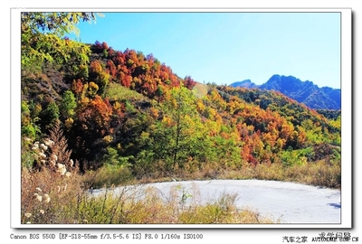 兴隆雾灵山哪买真蜂蜜(兴隆雾灵山自驾游攻略)