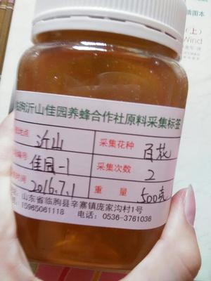 山东潍坊哪里能买到真蜂蜜(临朐蜂蜜批发市场)