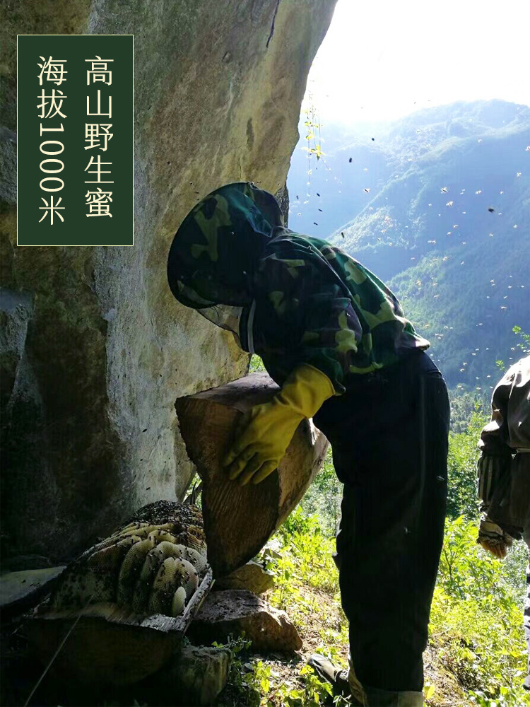 在绵阳哪儿能买真蜂蜜(绵阳蜂蜜厂家)