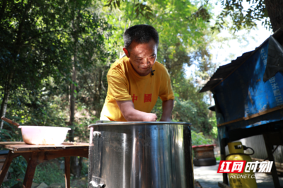 蜂农谈真蜂蜜(蜂农的蜂蜜)