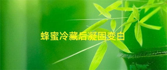 真蜂蜜冷藏后凝固变白(蜂蜜冷藏后凝固变白能保存多久)