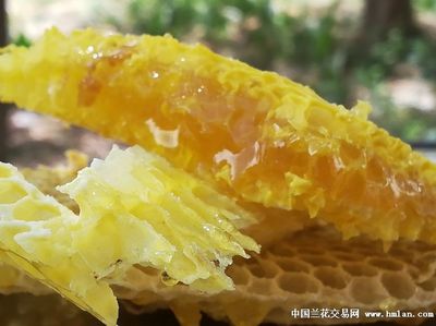 真蜂蜜是什么味儿的味道(真蜂蜜味道很难闻吗)