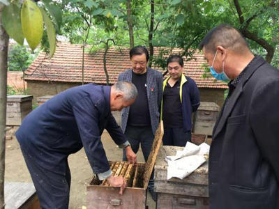 信阳真蜂蜜(河南蜂蜜厂家)