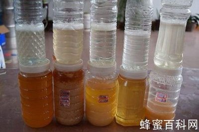 真蜂蜜冲水泡沫很快消失吗(纯蜂蜜冲水会有泡沫)