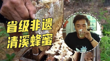 真蜂蜜为何泡泡多(蜂蜜很多泡泡冒起来正常吗)