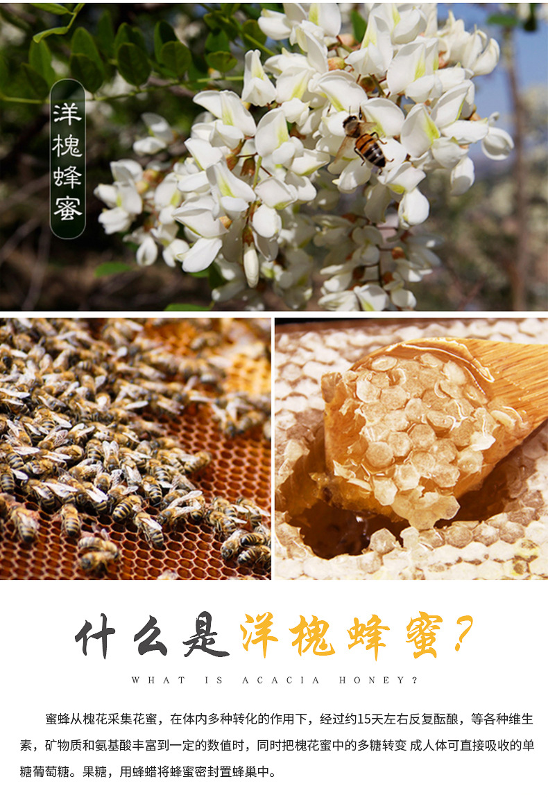 真蜂蜜图片素材大全(真蜂蜜的样子)