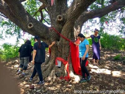 真蜂蜜冬天会结冰吗知乎(真蜂蜜到冬天是不是都会凝固)