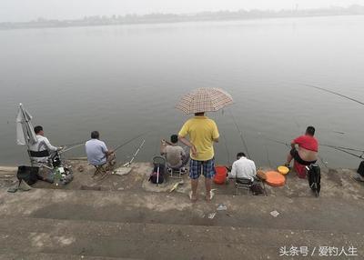 真蜂蜜夏天拉丝吗能吃吗(真蜂蜜夏天也会结晶吗)