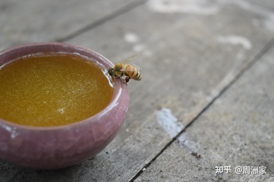 真洋槐蜂蜜多少钱一斤(洋槐蜂蜜多少钱一箱)