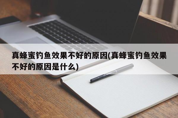 真蜂蜜钓鱼效果不好的原因(真蜂蜜钓鱼效果不好的原因是什么)