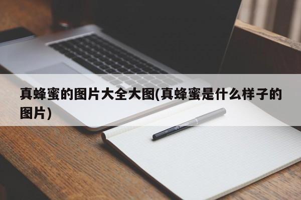 真蜂蜜的图片大全大图(真蜂蜜是什么样子的图片)