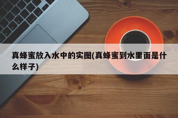 真蜂蜜放入水中的实图(真蜂蜜到水里面是什么样子)